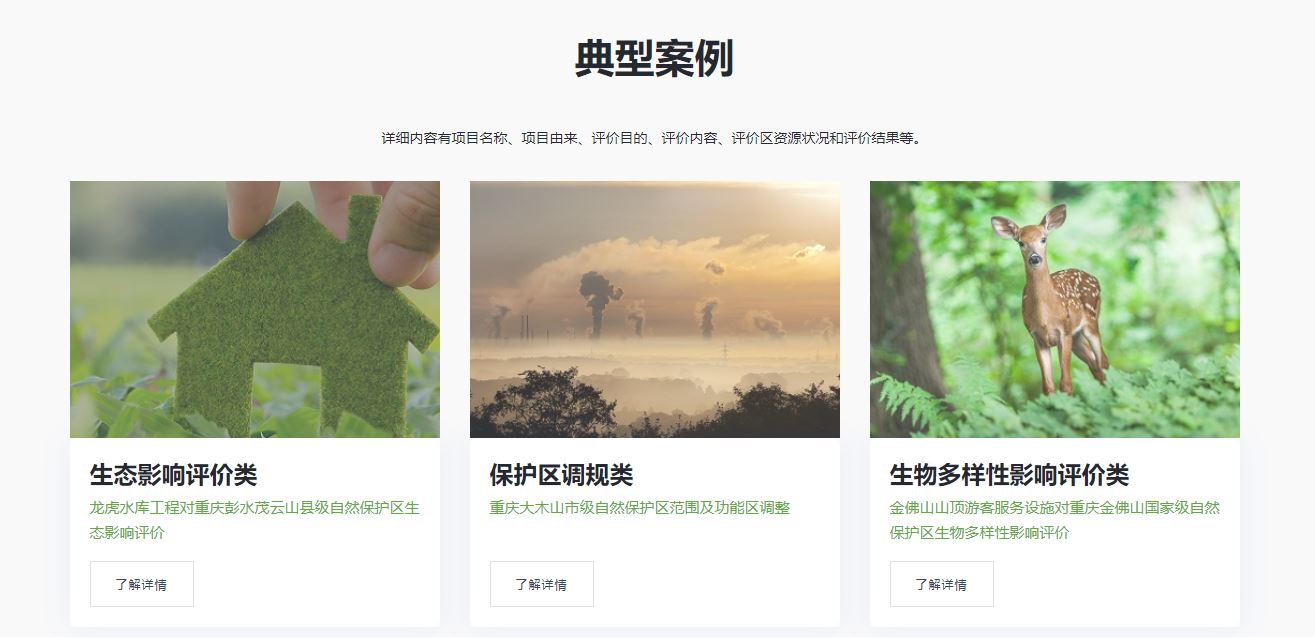 通用的占位符缩略图