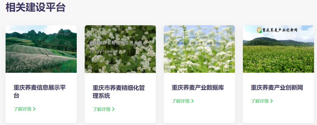 通用的占位符缩略图